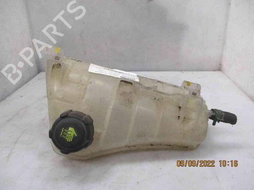 Expansion tank RENAULT KANGOO / GRAND KANGOO II (KW0/1_)  | BP26625051C120 