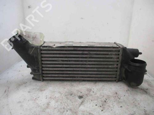 Intercooler CITROËN C4 Grand Picasso I (UA_) 2.0 HDi 138 | BP20205077M30 