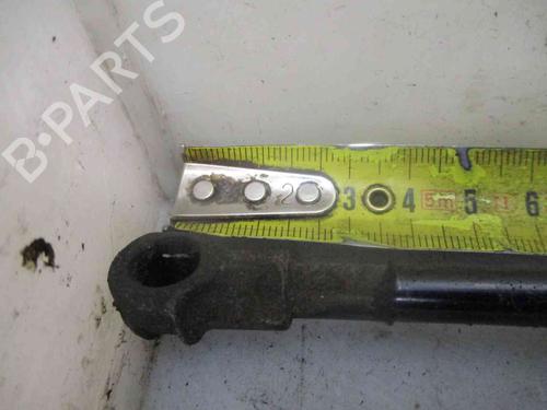 Tailgate lift support SEAT LEON (1P1)  | BP26621585C138 