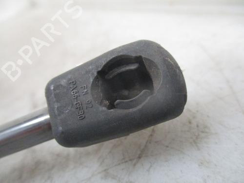Tailgate lift support RENAULT MEGANE III Grandtour (KZ0/1) 1.5 dCi (KZ09, KZ0D, KZ1G, KZ29, KZ14, KZ1W, KZ10, KZ1F,... | BP24187495C138