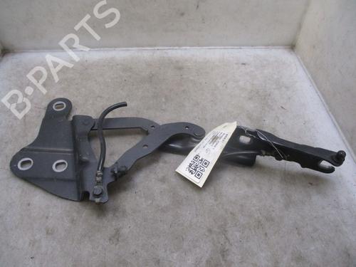 Hinge/Door check strap BMW X1 (E84)  | BP26635218C146