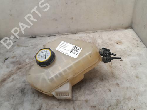 expansion-tank-ford-fiesta-vi-cb1-ccn-2008-36653198 main image