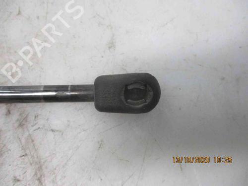 Tailgate lift support NISSAN MICRA III (K12) 1.2 16V | BP19735286C138 