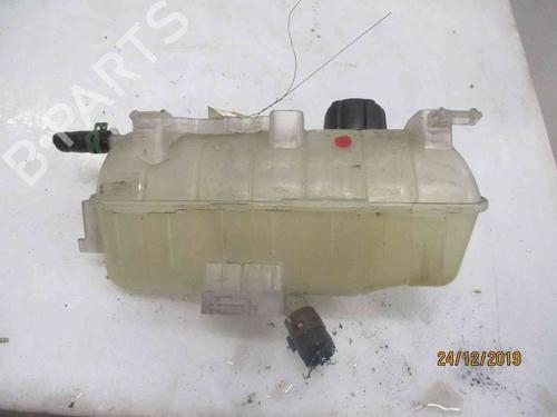 Expansion tank RENAULT KANGOO Express (FW0/1_)  | BP19717150C120 