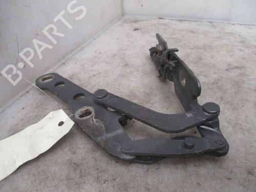 Hinge/Door check strap BMW 3 (E46) 330 d | BP24006634C146 