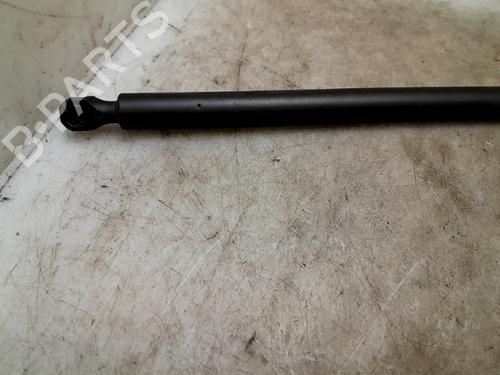Tailgate lift support CITROËN SAXO (S0, S1)  | BP24013486C138 