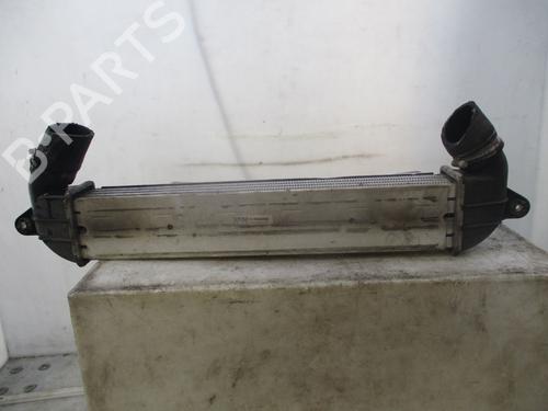 Used Intercooler FIAT DOBLO Box Body/MPV (223_) 1.3 D Multijet (75 hp) 28800720