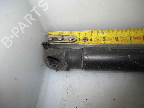 Tailgate lift support AUDI A3 Sportback (8PA) 1.9 TDI | BP26620555C138 