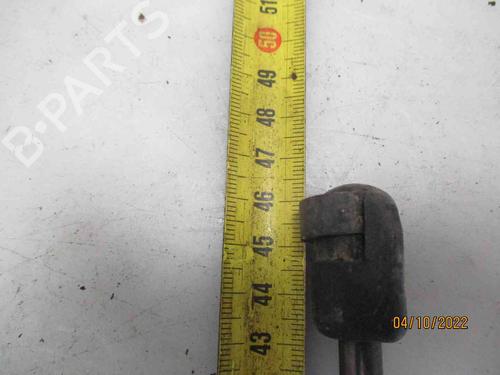 Gassdemper Bakluke SKODA FABIA I (6Y2)  | BP26624231C138 
