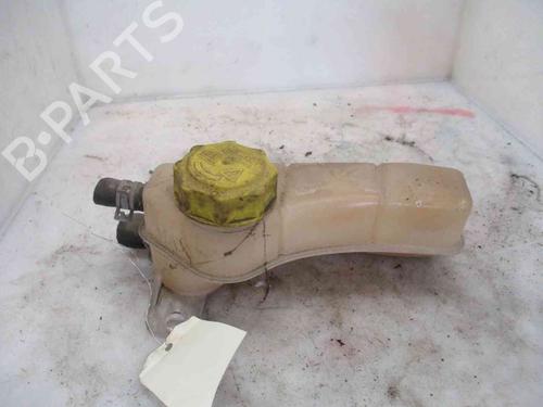 Used Expansion tank FORD KA (RB_) 1.3 i (60 hp) 24007607