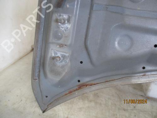 Hood NISSAN X-TRAIL I (T30) 2.2 Di 4x4 | BP24013249C1 