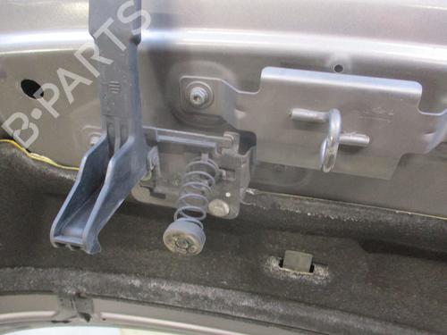 Hood RENAULT SCÉNIC III (JZ0/1_) 1.6 dCi (JZ00, JZ12) | BP25152330C1 