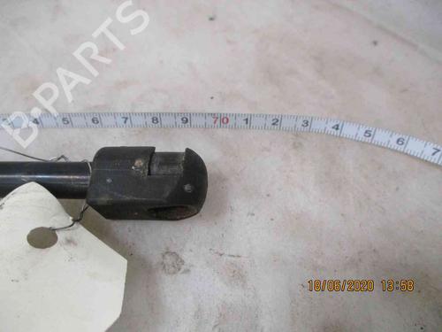 Tailgate lift support MERCEDES-BENZ VITO / MIXTO Van (W639) 111 CDI (639.601, 639.603, 639.605) | BP24009418C138 