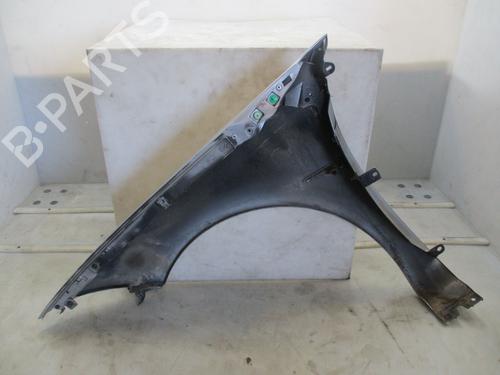 Right front fenders RENAULT MEGANE II (BM0/1_, CM0/1_) 1.9 dCi | BP27216598C42 