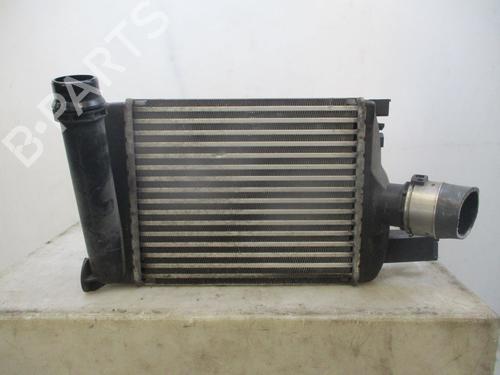 Intercooler RENAULT CLIO IV (BH_) 1.5 dCi 75 | BP28363777M30 