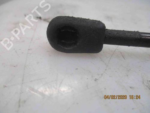 Hood lift support HYUNDAI SANTA FÉ I (SM) 2.0 CRDi | BP19719810C139 