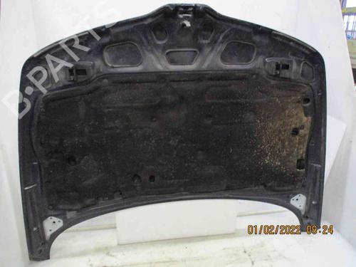 Hood RENAULT LAGUNA I (B56_, 556_) 2.2 dT (B569) | BP26622952C1