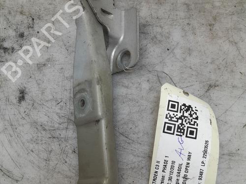 Hinge/Door check strap CITROËN C3 II (SC_) 1.4 HDi 70 (SC8HZC, SC8HR0, SC8HP4) | BP35885687C146 - Image 3