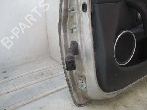 Right front door RENAULT CLIO III (BR0/1, CR0/1) 1.4 16V | BP29263303C3 