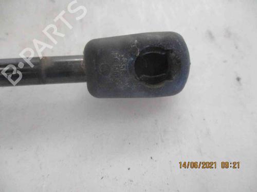 Tailgate lift support SKODA FABIA II (542)  | BP19735153C138 