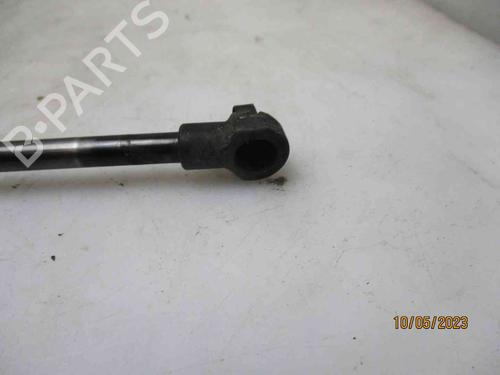 Tailgate lift support BMW 1 (F20) 118 d | BP25735266C138