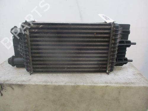 Intercooler NISSAN JUKE (F15) 1.5 dCi | BP29600035M30 