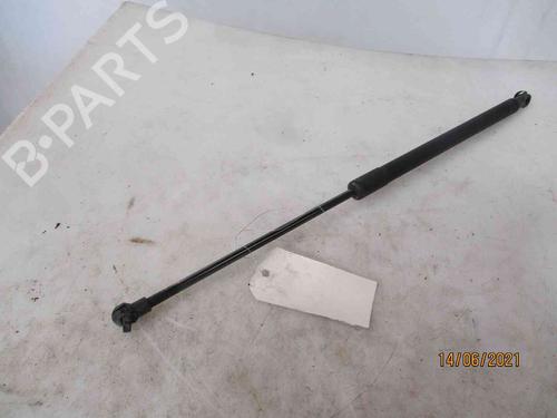 Tailgate lift support NISSAN QASHQAI / QASHQAI +2 I (J10, NJ10, JJ10E) 1.5 dCi | BP19738753C138 