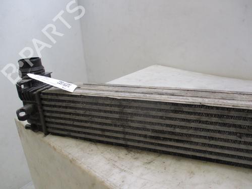 Intercooler RENAULT MEGANE III Coupe (DZ0/1_) 1.6 dCi (DZ00, DZ12, DZ2A, DZ13) | BP32456117M30 