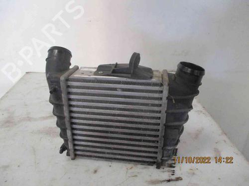Intercooler VW POLO (9N_, 9A_) 1.2 | BP19719313M30 