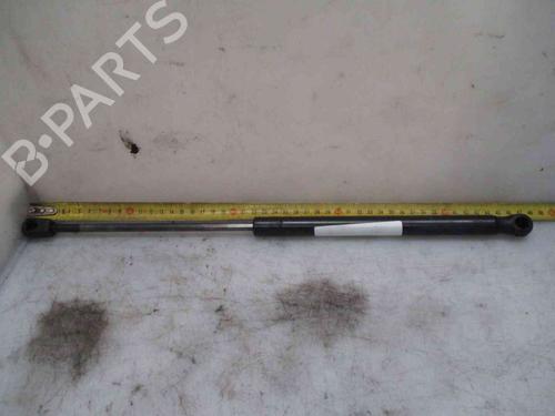 Used Tailgate lift support RENAULT MEGANE II Coupé-Cabriolet (EM0/1_) 1.9 dCi (131 hp) 19735043