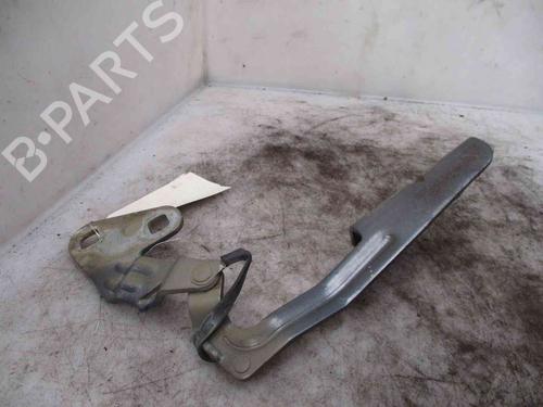 Hinge/Door check strap CITROËN XSARA PICASSO (N68) 1.6 16V | BP24008207C146 