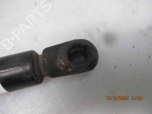 Hood lift support SEAT LEON (1M1) 1.4 16V | BP19722541C139 