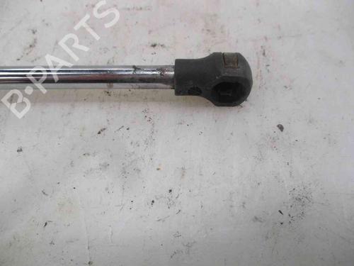 Tailgate lift support RENAULT LAGUNA II (BG0/1_) 1.6 16V (BG0A, BG0L) | BP19735217C138 