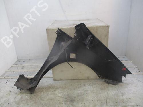Left front fenders FIAT PUNTO (199_) 1.3 D Multijet | BP29413770C41 