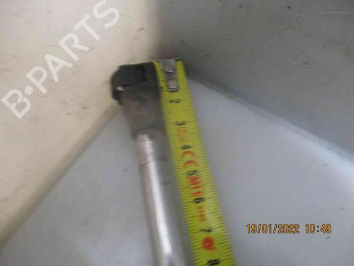 Tailgate lift support RENAULT ESPACE IV (JK0/1_) 2.0 dCi (JK01, JK02, JK1J, JK1K, JK1H) | BP19736388C138 