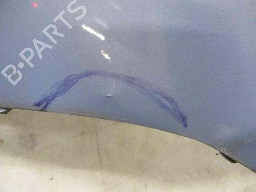 Left front fenders FIAT IDEA (350_) 1.4 16V | BP19713274C41 