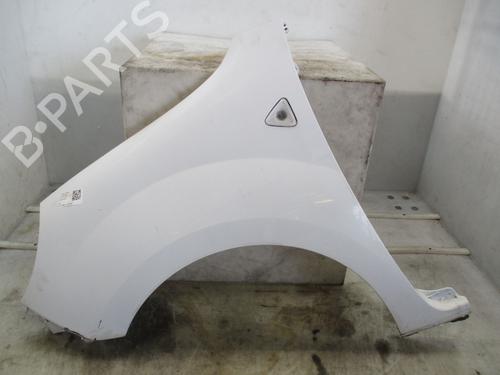 Used Left front fenders RENAULT KANGOO / GRAND KANGOO II (KW0/1_) 1.5 dCi 90 (KW05, KW08, KW0G, KW11) (90 hp) 26175917
