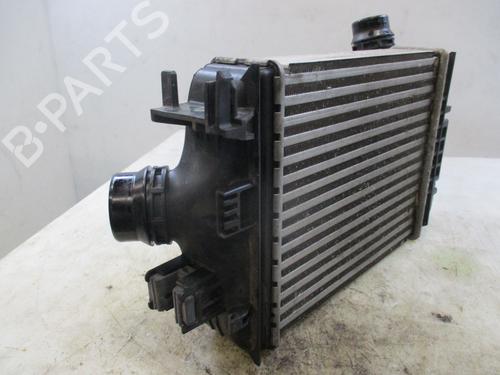 Intercooler RENAULT CAPTUR II (HF_) TCe 100 (HFMT) | BP29379718M30 