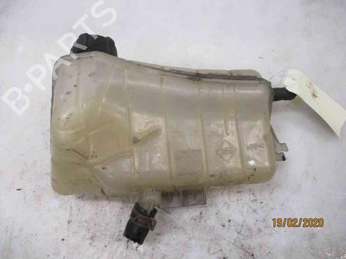 Expansion tank RENAULT KANGOO Express (FW0/1_)  | BP19718271C120 