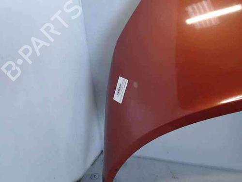 Hood RENAULT SCÉNIC II (JM0/1_) 1.5 dCi (JM0F) | BP20206175C1 