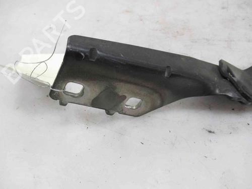 Hinge/Door check strap RENAULT MEGANE II (BM0/1_, CM0/1_) 1.9 dCi | BP19739214C146