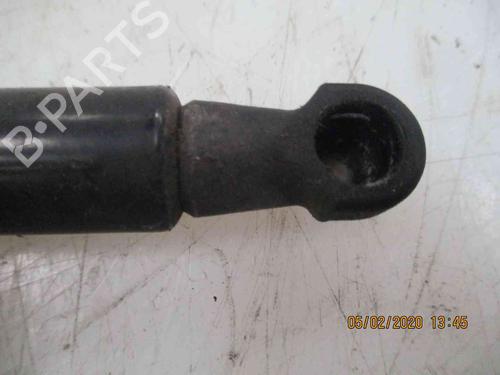 Hood lift support RENAULT SCÉNIC III (JZ0/1_) 1.5 dCi | BP19718317C139 