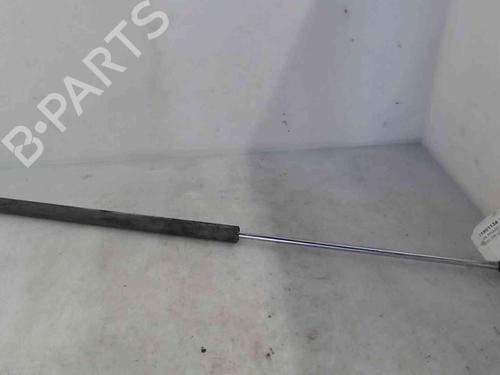 Used Hood lift support PEUGEOT 106 II (1A_, 1C_) 1.4 i (75 hp) 20205378