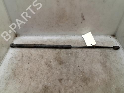 Used Tailgate lift support FORD FIESTA VI (CB1, CCN) 1.25 (82 hp) 24014193