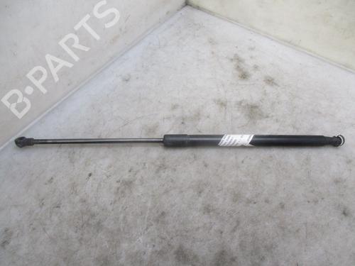Used Tailgate lift support NISSAN QASHQAI / QASHQAI +2 I (J10, NJ10, JJ10E) 1.5 dCi (110 hp) 24996670