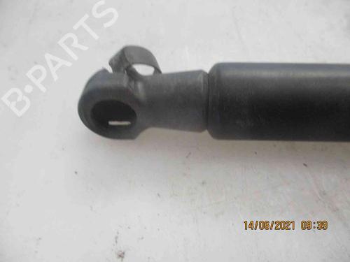 Tailgate lift support NISSAN QASHQAI / QASHQAI +2 I (J10, NJ10, JJ10E) 1.5 dCi | BP19738757C138 