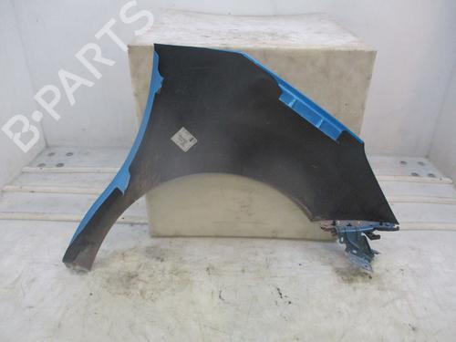 Left front fenders CITROËN C3 II (SC_) 1.6 HDi | BP29816678C41
