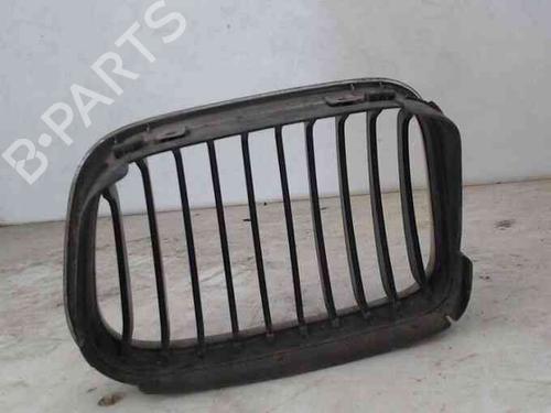 Grille BMW 3 (E46)  | BP21833534C40 