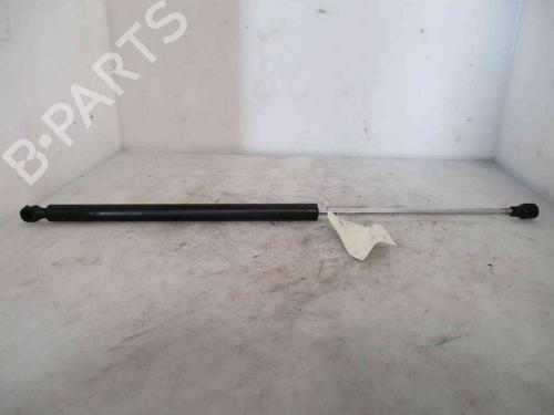 Used Tailgate lift support PEUGEOT 106 II (1A_, 1C_) 1.5 D (55 hp) 19734680