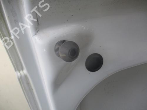 Left tailgate RENAULT KANGOO Express (FW0/1_) 1.5 dCi 75 (FW07, FW10, FW04) | BP29901056C76